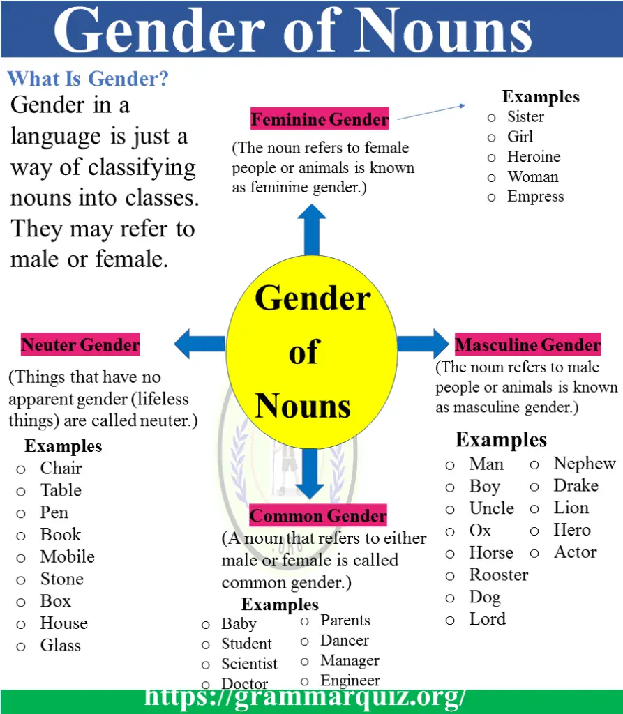 The Gender of Nouns (Definition & Rules with Examples)